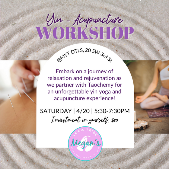 Yin-Acupuncture Workshop